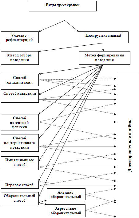 Работа-игра (дрессировка собак — детекторов запахов) - i_004.png