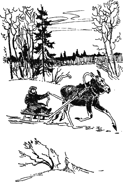 Лесной прадедушка (Рассказы о родной природе) - i_014.png