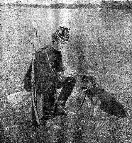 Руководство дрессировки полицейских и военных собак - i_032.jpg