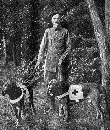 Руководство дрессировки полицейских и военных собак - i_034.jpg