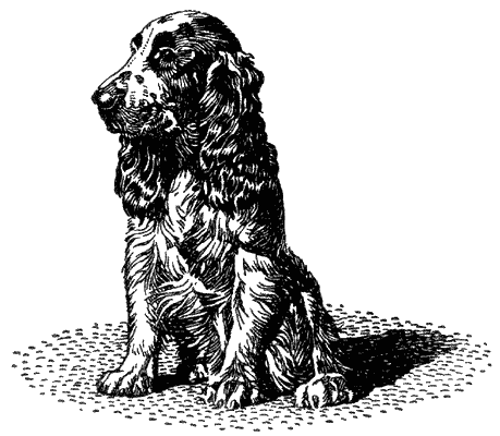 Кумаонские людоеды - i_008.png