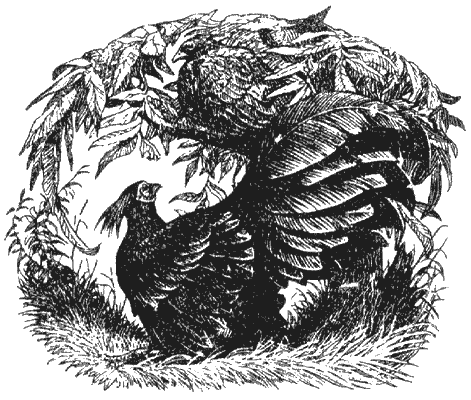 Кумаонские людоеды - i_015.png