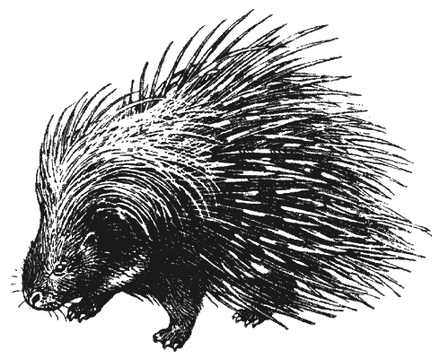 Кумаонские людоеды - i_019.png