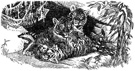 Кумаонские людоеды - i_025.png