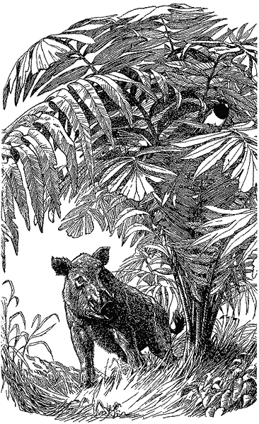 Кумаонские людоеды - i_026.png