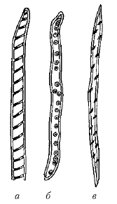 Анатомия и морфология высших растений - i_072.png