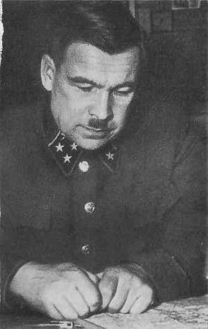 Разные дни войны. Дневник писателя, т.2. 1942-1945 годы - i_001.jpg