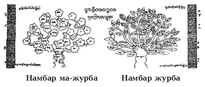 Тибетская медицина - pic_1.png