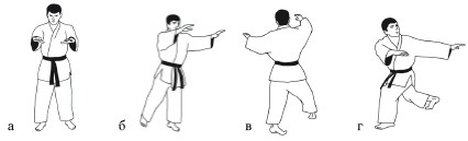 Борьба дзюдо: первые уроки - i_022.png