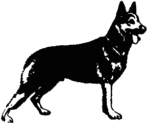 Собака-проводник слепого - i_001.png