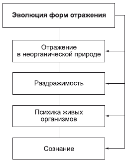 Философия в схемах и комментариях - i_037.png