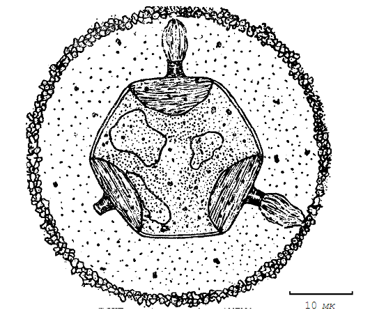 Разумная жизнь во Вселенной - doc2fb_image_03000030.png