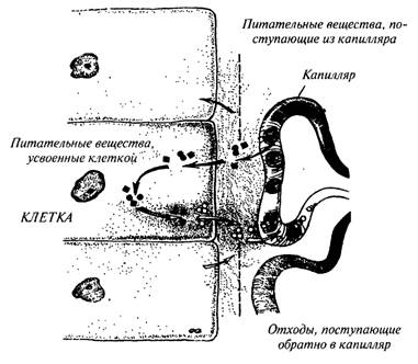 Чудо релаксации - image008.jpg