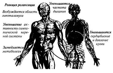 Чудо релаксации - image022.jpg