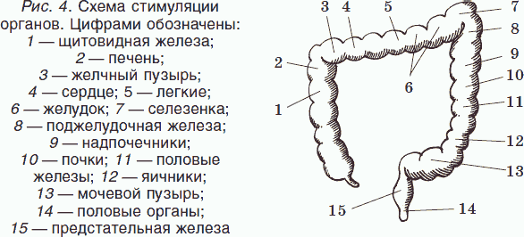 Целительные силы. Книга 1. Очищение организма и правильное питание. Биосинтез и биоэнергетика - _04.png