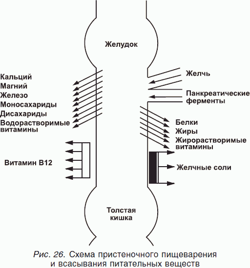 Целительные силы. Книга 1. Очищение организма и правильное питание. Биосинтез и биоэнергетика - _26.png