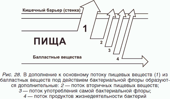 Целительные силы. Книга 1. Очищение организма и правильное питание. Биосинтез и биоэнергетика - _28.png