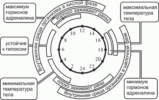 Биоритмология. Уринотерапия - _02.png