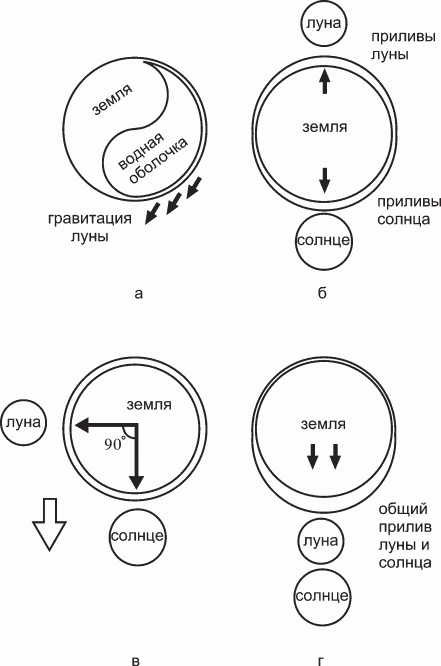 Биоритмология. Уринотерапия - _03.png