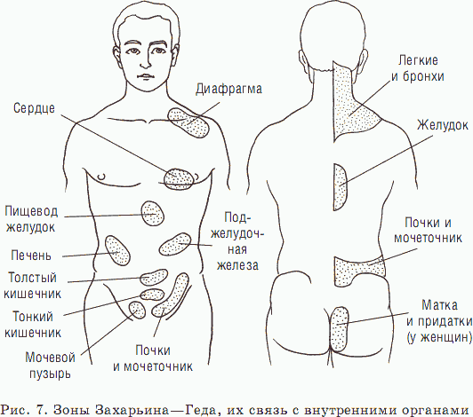 Биоритмология. Уринотерапия - _08.png