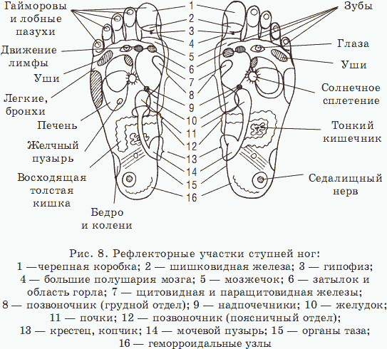 Биоритмология. Уринотерапия - _09.png