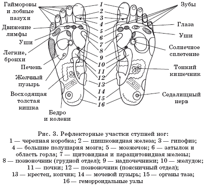 Укрепление здоровья в пожилом возрасте - i_003.png