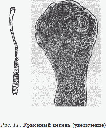 Новые тайны нераспознанных диагнозов. Книга 3 - _20.png