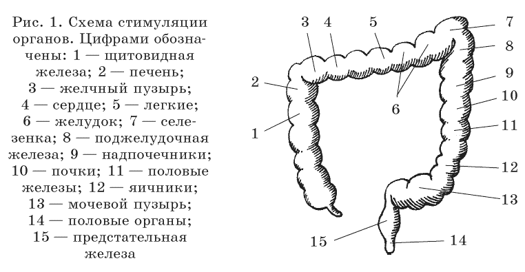 Очищение организма и правильное питание - pic1.png