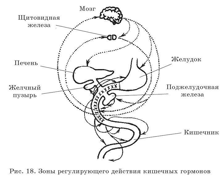 Очищение организма и правильное питание - pic18.png