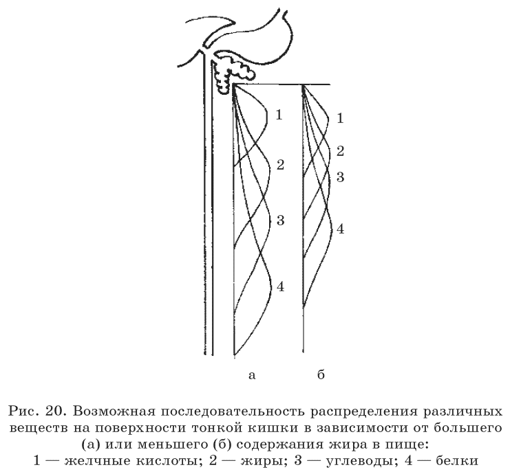 Очищение организма и правильное питание - pic20.png