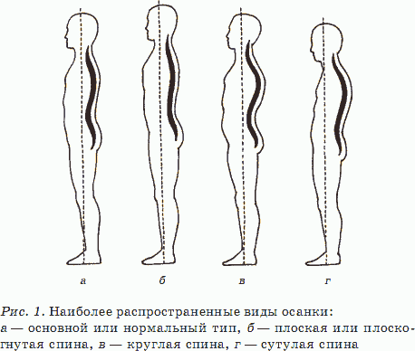 Здоровый позвоночник – красивая осанка, прекрасное здоровье - _01.png