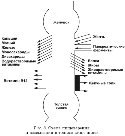 Золотые правила питания - i_003.png