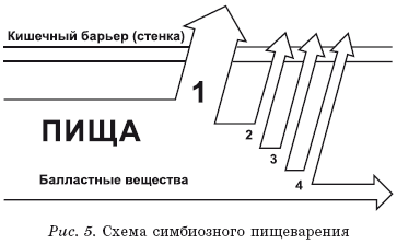 Золотые правила питания - i_005.png