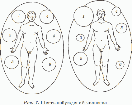 О жизни, судьбе и здоровье - _07.png