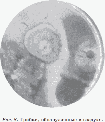 Энциклопедия нераспознанных диагнозов. Современные методы диагностики и лечения. Том 2 - _09.png