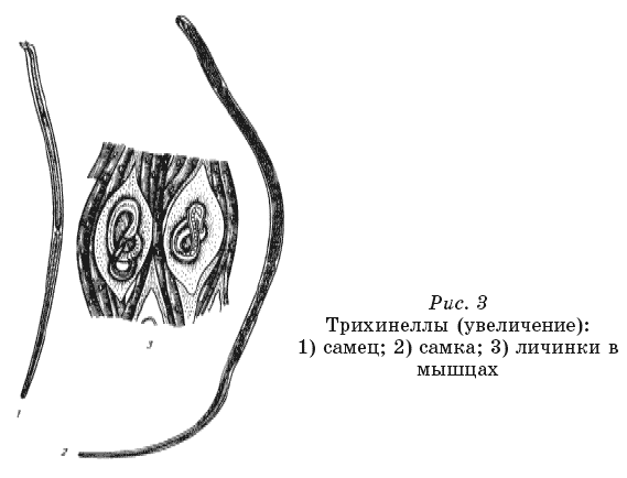 Энциклопедия нераспознанных диагнозов. Современные методы диагностики и лечения. Том 1 - pic3.png