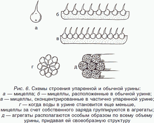 Целительные силы. Книга 2. Биоритмология. Уринотерапия. Траволечение. Создание собственной системы оздоровления - _08.png