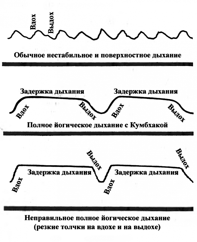 Пранаяма. Путь к тайнам йоги - img_11.png