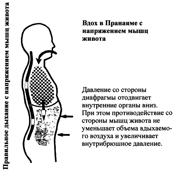 Пранаяма. Путь к тайнам йоги - img_20.png