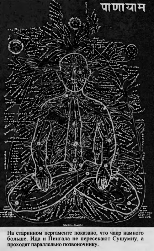 Пранаяма. Путь к тайнам йоги - img_26.png
