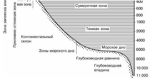 Общая экология - i_038.png