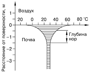 Общая экология - i_052.png