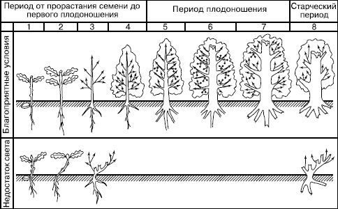 Общая экология - i_100.png