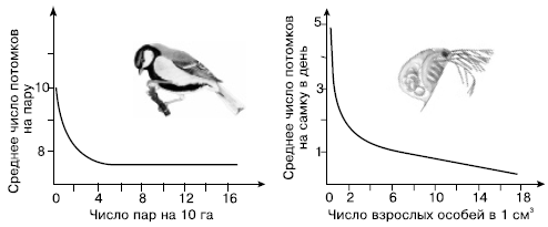 Общая экология - i_135.png