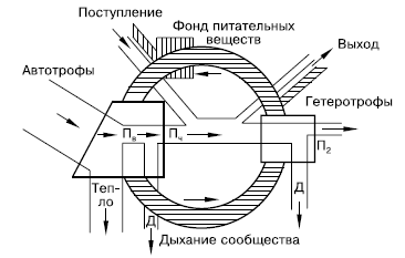 Общая экология - i_159.png