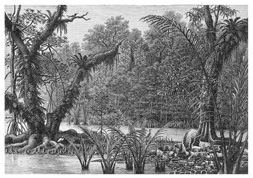 Плавания вокруг света и по Северному Ледовитому океану (др.изд.) - i_062.jpg