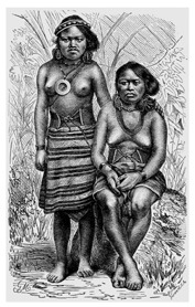 Плавания вокруг света и по Северному Ледовитому океану (др.изд.) - i_063.jpg