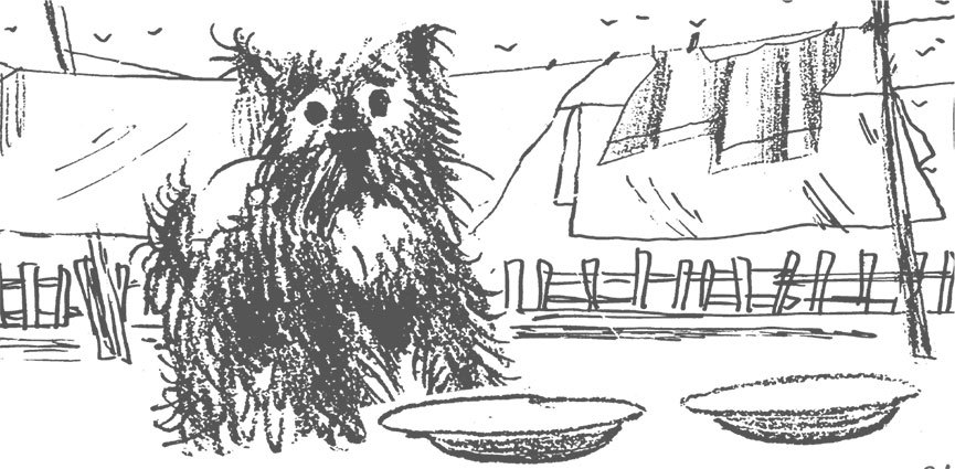 Теза с нашего двора - i_008.jpg