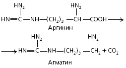 Микробиология: словарь терминов - i_001.png