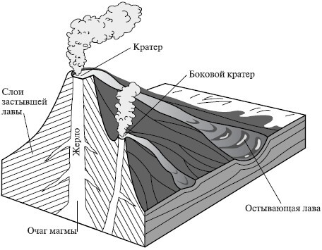 Естествознание и основы экологии - i_028.jpg